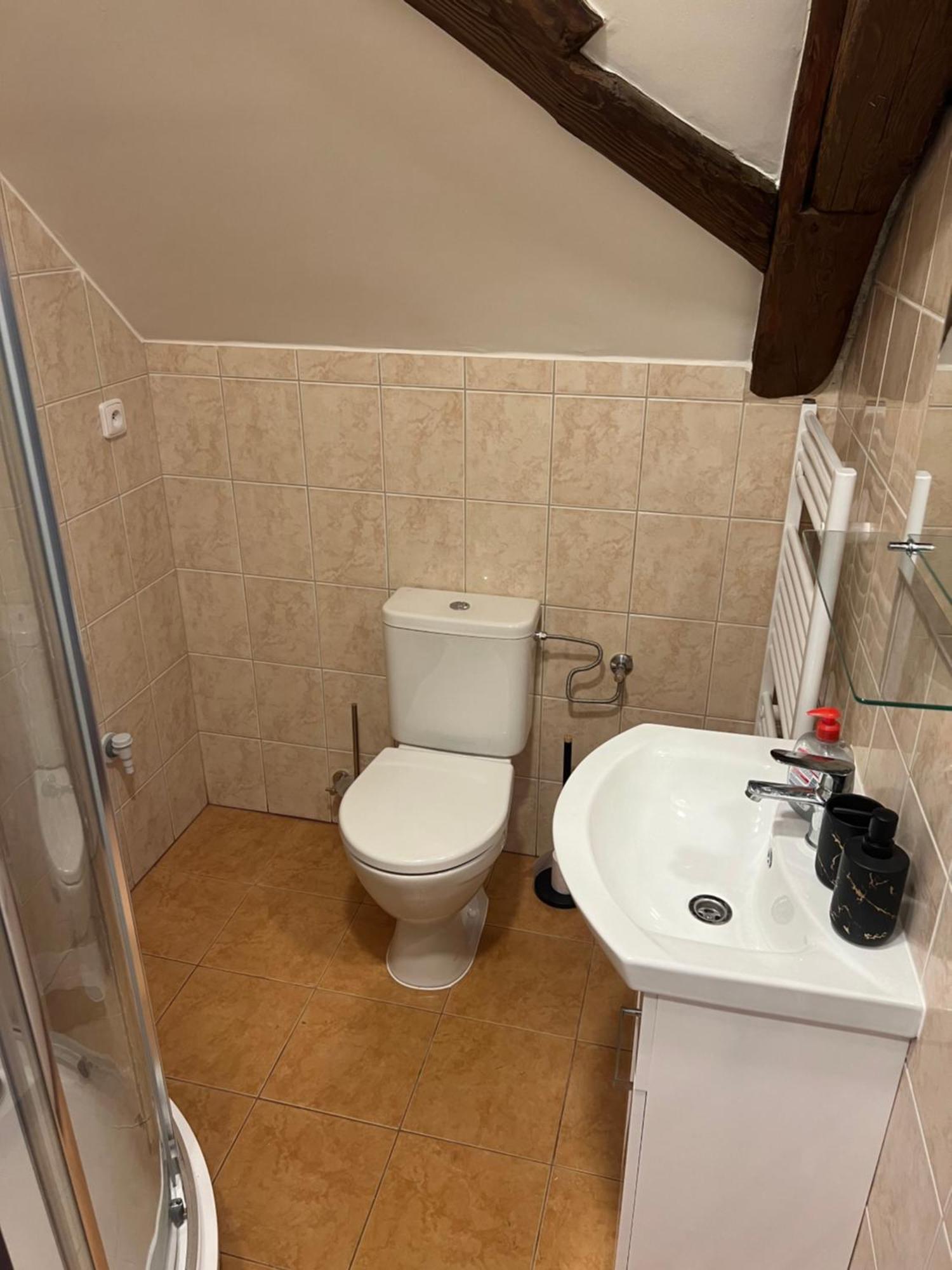 Ubytovani 1Kk Ve Zlonicich Slaný Esterno foto